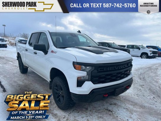 2023 Chevrolet Silverado 1500 2023 White