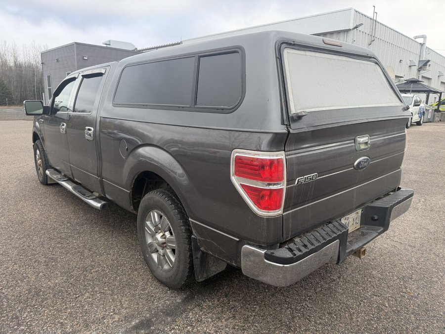 2010 Ford F-150 2010 Grey