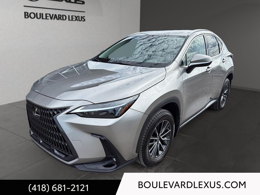 Lexus NX 2023 2023 Argent