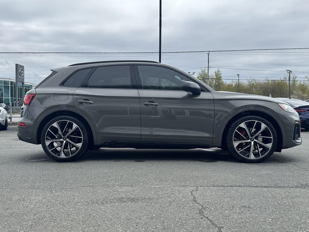 Audi SQ5 Progressiv 2023 Gris Granby - photo #7