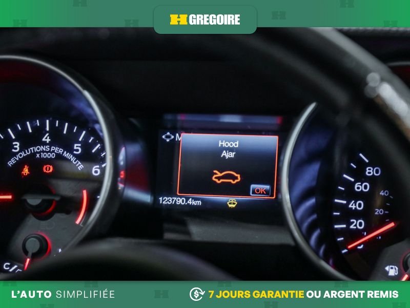Ford Mustang 724509 | EcoBoost MAN AC GR ELEC MAGS CAM RECUL BLUETOOTH 2019 Noir Laval - photo #18