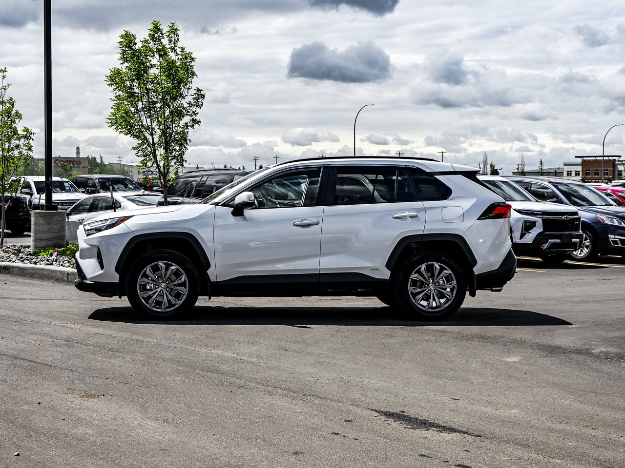 2024 Toyota RAV4 Hybrid XLE AWD White w/Black Roof Sherwood Park - photo #9
