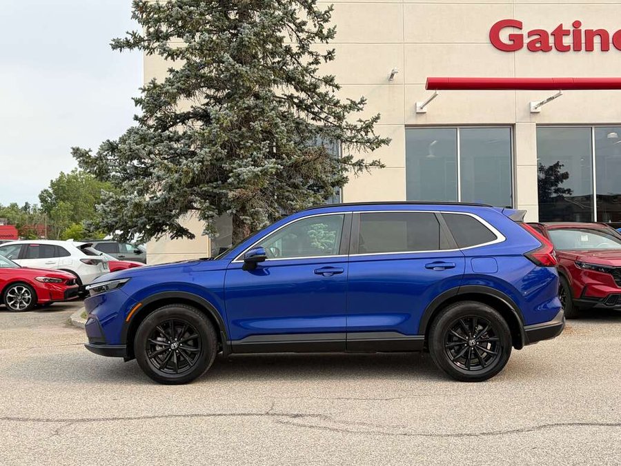 Honda CR-V 2023 2023 Bleu