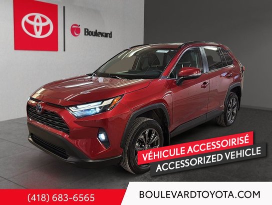 Toyota RAV4 2024 2024 Rouge