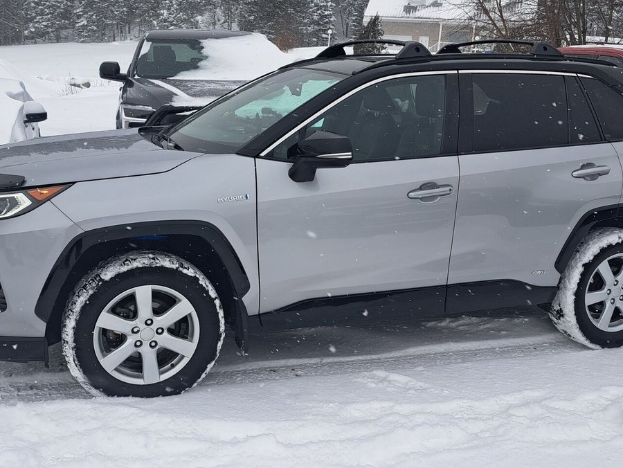 2019 Toyota RAV4 2019 Silver Sky Metallic with Black Roof