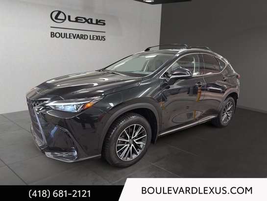 Lexus NX 2024 2024 Noir