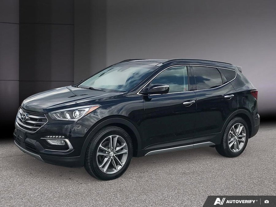 Hyundai Santa Fe Sport 2017 2017 Noir
