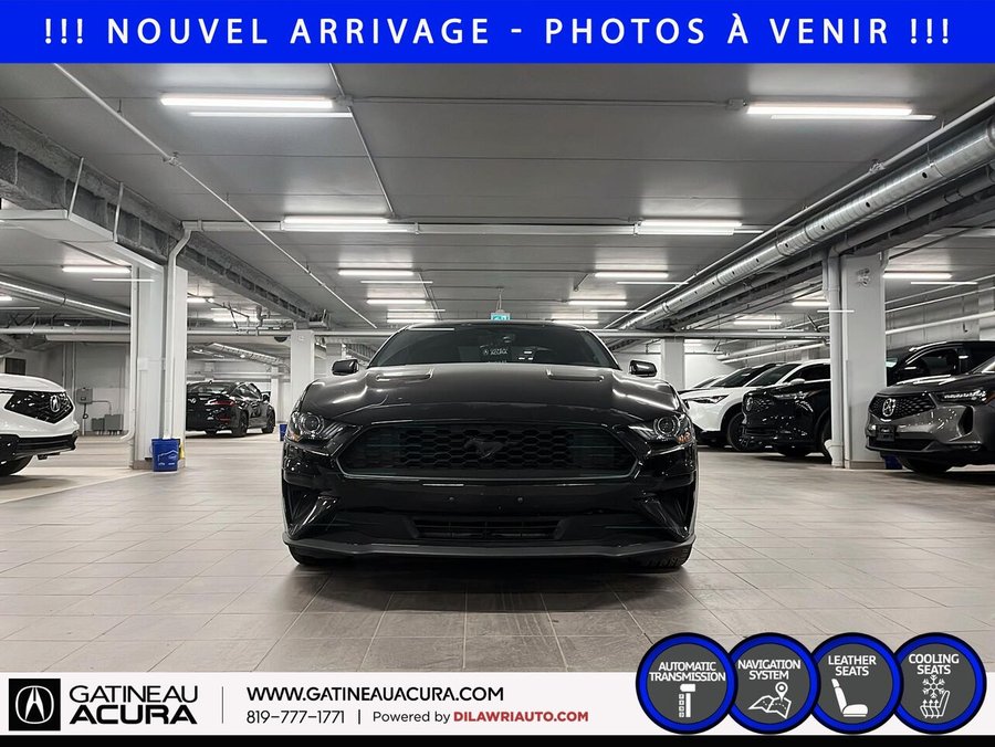 Ford Mustang 2019 2019 Noir