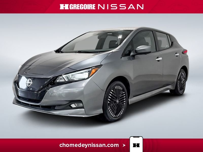 Nissan Leaf 2024 2024 Gris