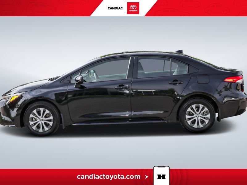 2023 Toyota Corolla Black Laval - photo #4