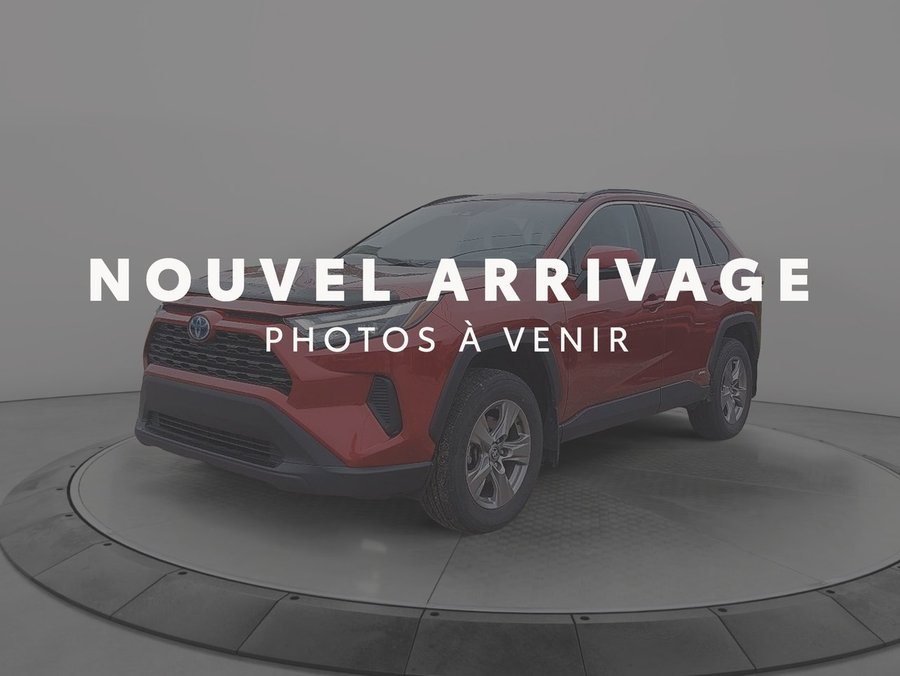 Toyota RAV4 2023 2023 Rouge