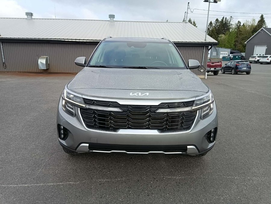 Kia Seltos 2024 2024 Gris