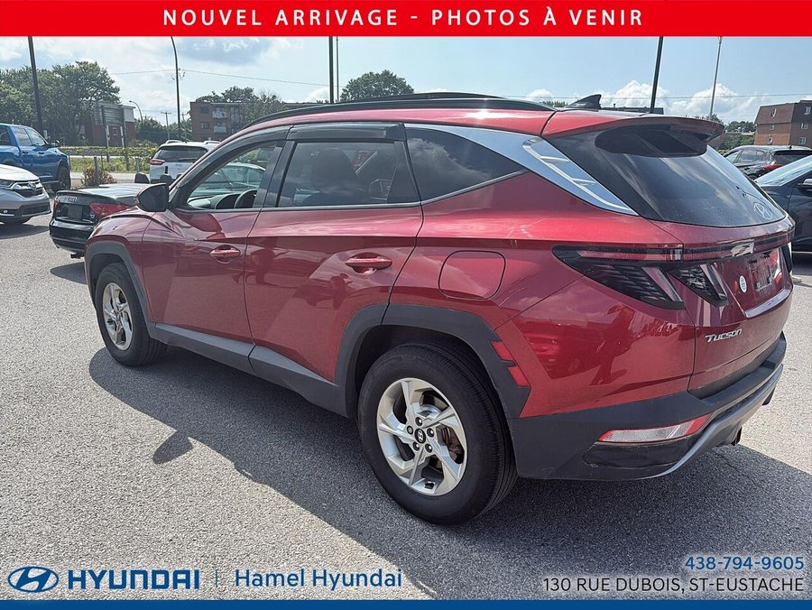 Hyundai Tucson 2024 2024 Rouge