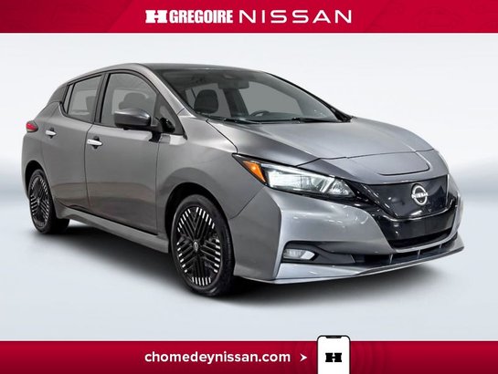 2024 Nissan Leaf 2024 Grey