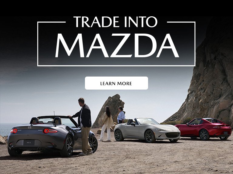 2838822_PLM_Luxury   Evergreen _ Trade_ENG_WB