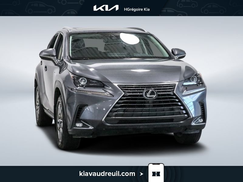 2021 Lexus NX 2021 Grey