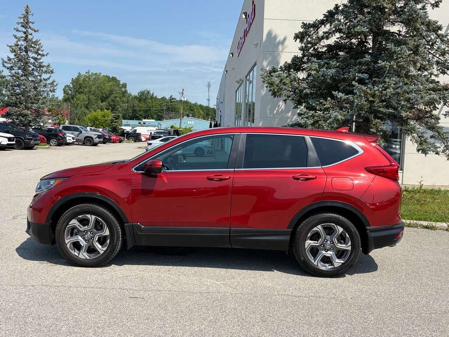 Honda CR-V 2019 2019 Rouge