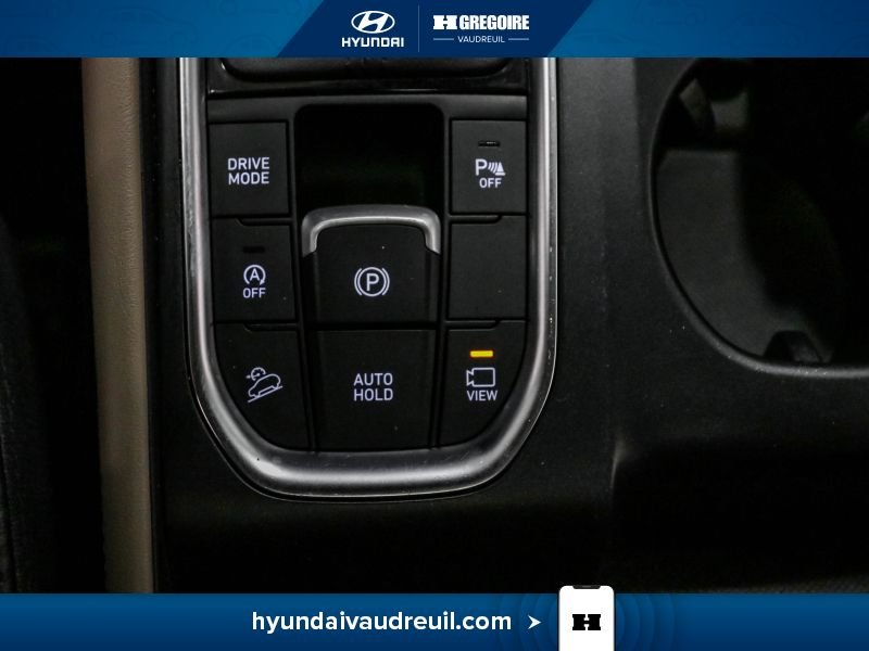 Hyundai Santa Fe 2019 Gris Saint-Eustache - photo #37
