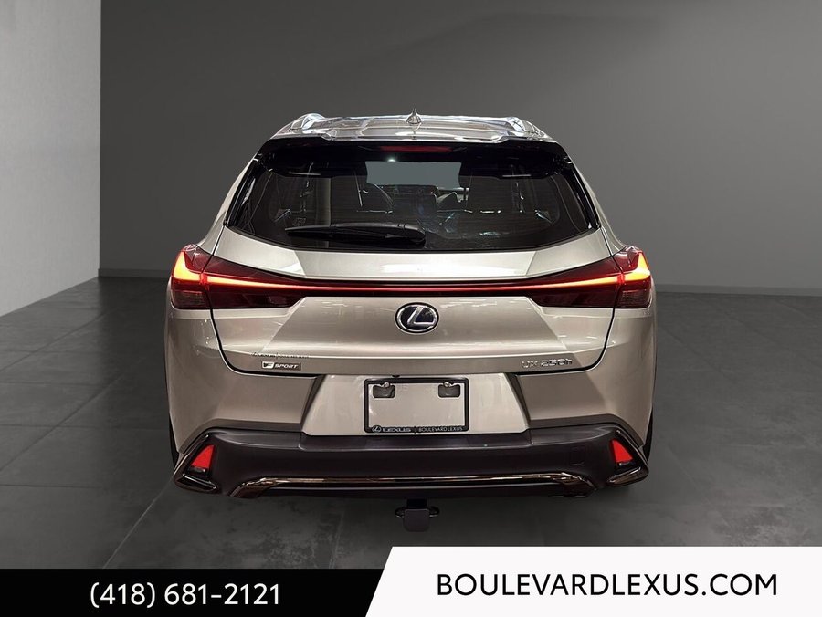 2021 Lexus UX 2021 Silver