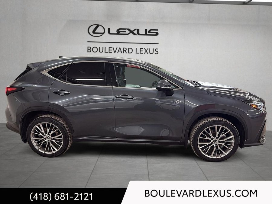 Lexus NX 2024 2024 Gris