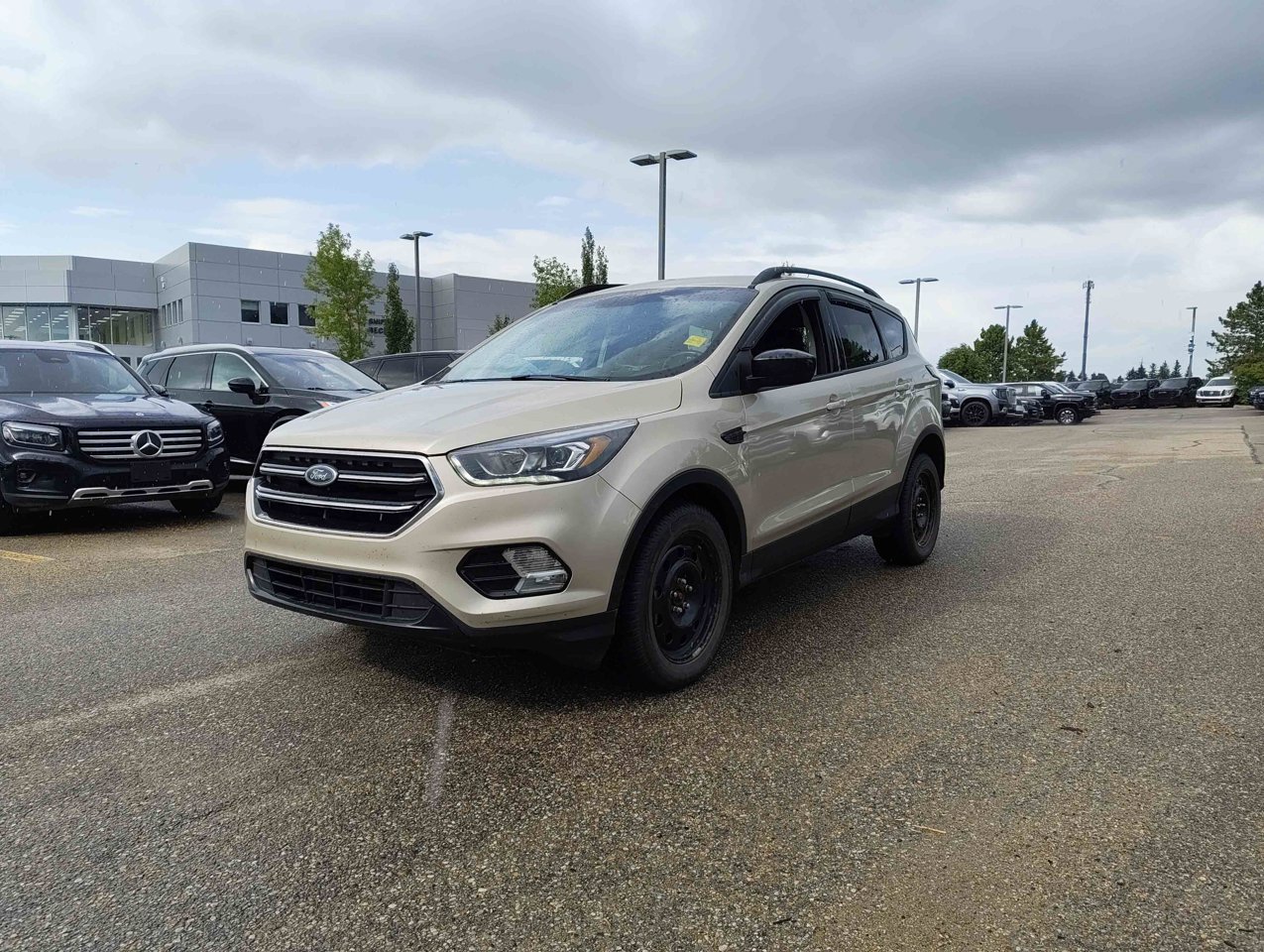 2017 Ford Escape 4WD 4dr SE White Gold Sherwood Park - photo #3