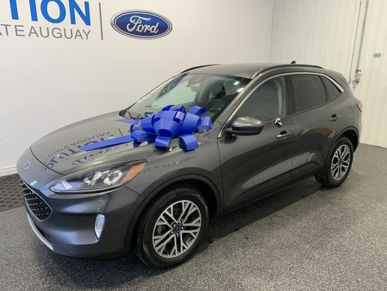 Ford Escape 2020 2020 Gris