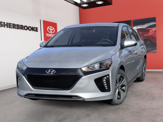 Hyundai Ioniq électrique 2017 2017 Argent