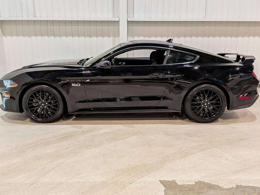 2021 Ford Mustang Black