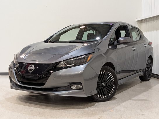 Nissan LEAF 2024 2024 Gris