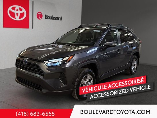 Toyota RAV4 2023 2023 Gris