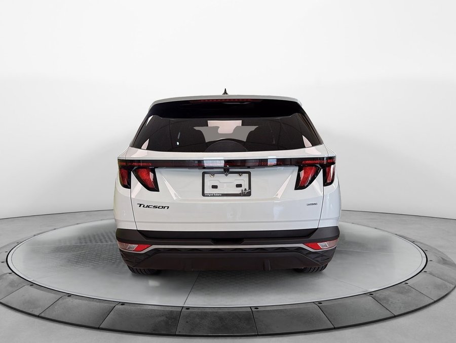 2022 Hyundai Tucson 2022 White