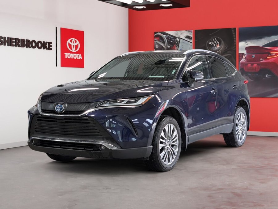 Toyota Venza 2023 2023 Bleu