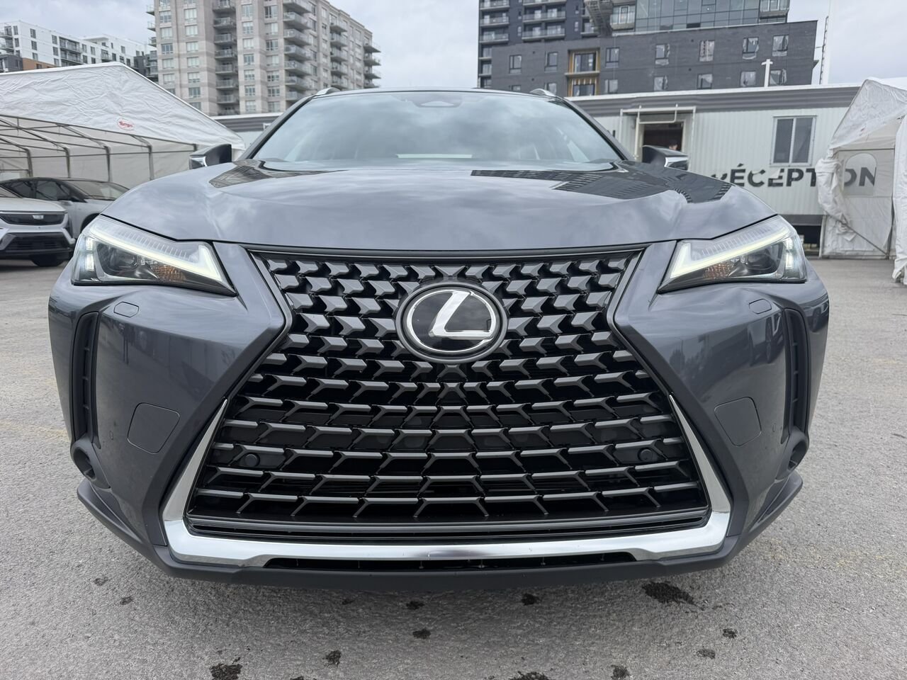 2025 Lexus UX UX 300h CAWD Beige Laval - photo #3