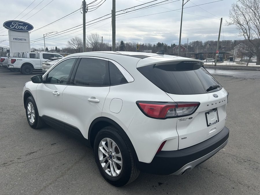 Ford ESCAPE 2022 2022 Blanc