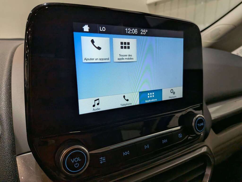 Ford EcoSport 2019 Gris Val-David - photo #25