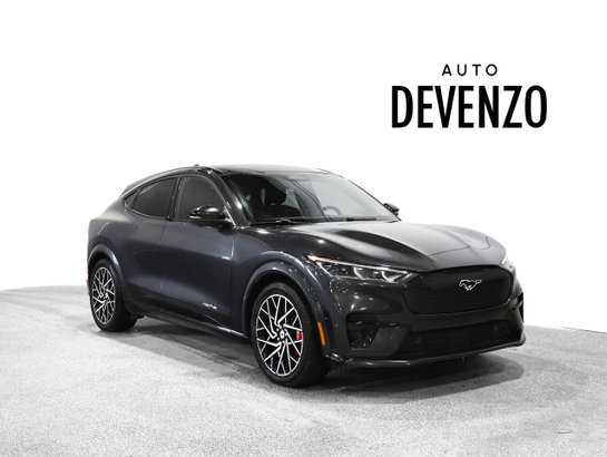 Ford Mustang Mach-E 2022 2022 Gris