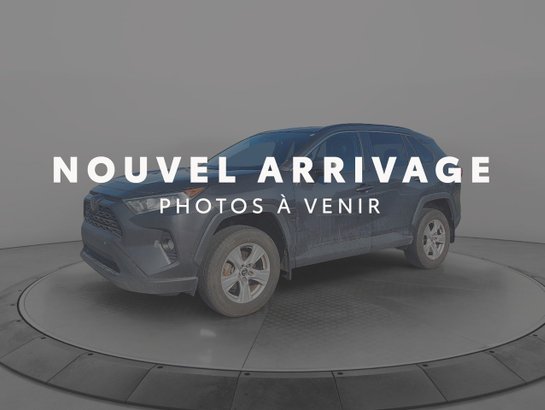 2019 Toyota RAV4 2019 Grey