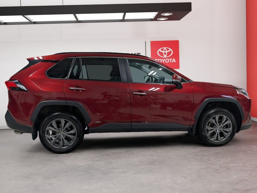 Toyota RAV4 Hybride 2024 2024 Rouge