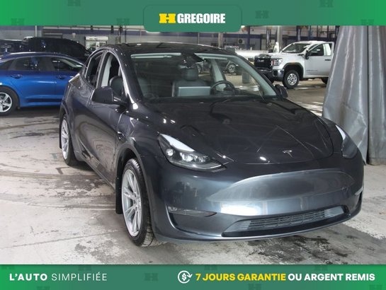 2024 Tesla Model Y 2024 Grey