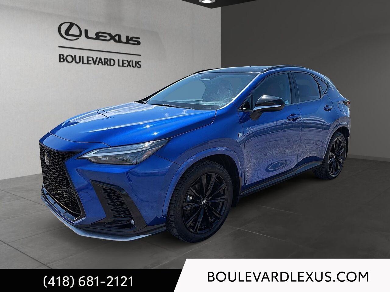 Lexus NX 19277A 2024 Bleu Québec - photo #0