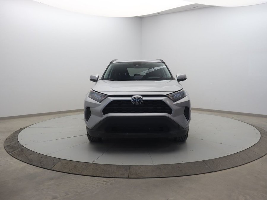 Toyota RAV4 2020 2020 Gris