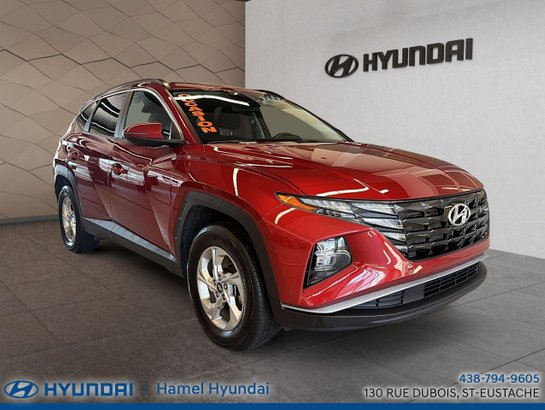 Hyundai Tucson 2024 2024 Rouge