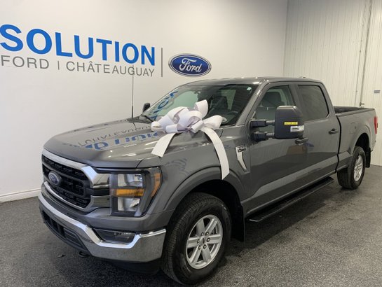 2023 Ford F-150 2023 Grey