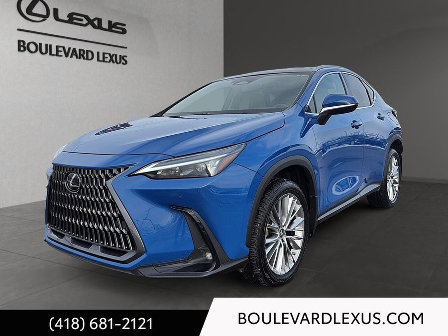 Lexus NX 2023 2023 Bleu