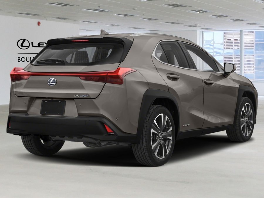 2021 Lexus UX 2021 Silver
