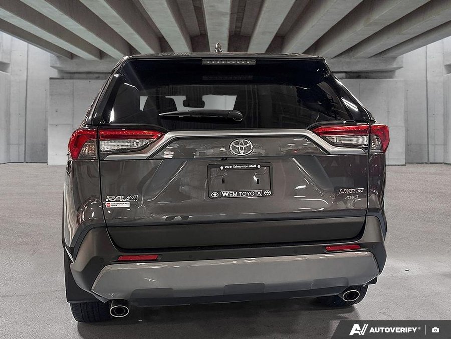 2019 Toyota RAV4 2019 gray