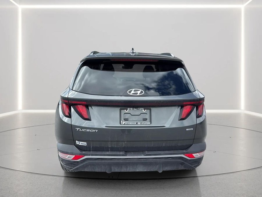 2024 Hyundai Tucson 2024 Grey