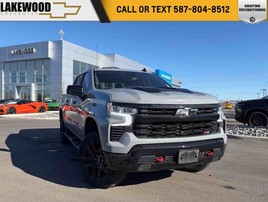 2024 Chevrolet Silverado 1500 2024 Grey