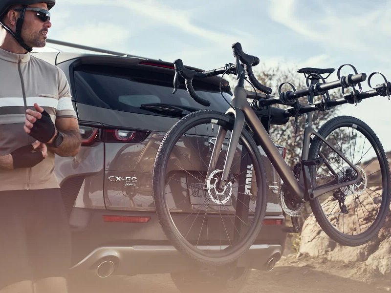 Cras blandit sodales ipsum