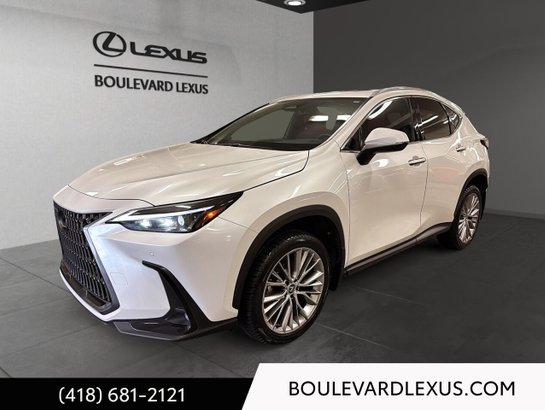 Lexus NX 2024 2024 Blanc